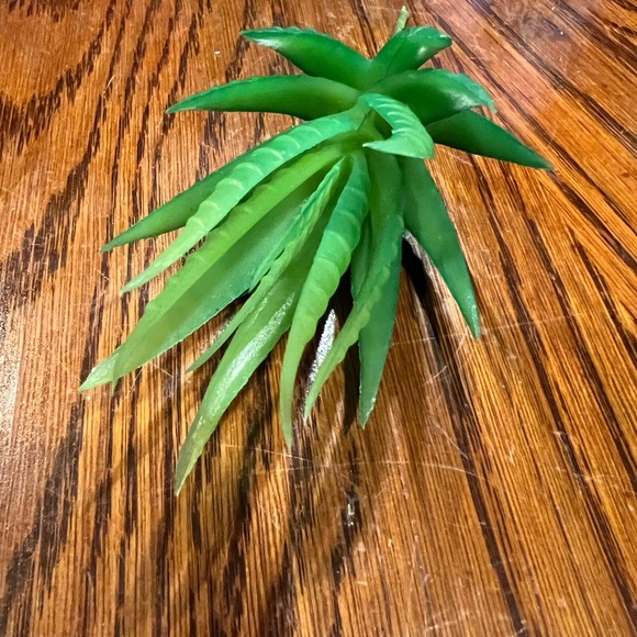 Faux Succulents - Green 16 pcs - Picture 7 of 16